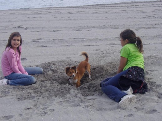 Aqui estoy con mi dueña y una amiga hace 2 o 3 años!
